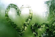 开云体育官网：澳网女双第二轮 袁悦／亚历山德罗娃组合不敌对手无缘下一轮央视新闻客户端.